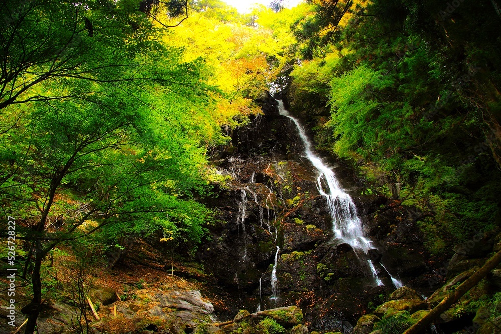 初秋の和佐羅滝 初秋の和佐羅滝