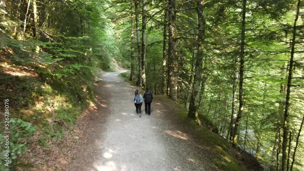 Couple Walking in Forest on Wood Path in Scenic Landscape - Dolly Shot Couple Walking in Forest on Wood Path in Scenic Landscape - Dolly Shot