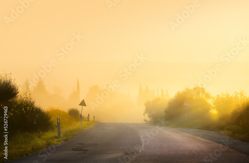 Art rural landscape. Empty rural road summer misty morning in italy tuscany