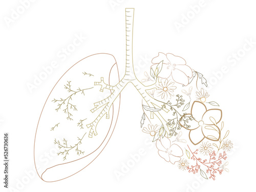 Anatomical human lungs with flowers. Hand drawing vector illustration. Floral decorative element engraved. Perfect for wedding, invitation, romantic design, scrapbooking, greeting card