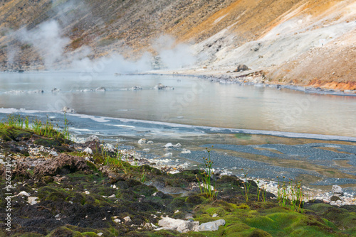 extremophilous vegetation on the shore of a hot mineralized volcanic lake, reminiscent of the first land plants photo