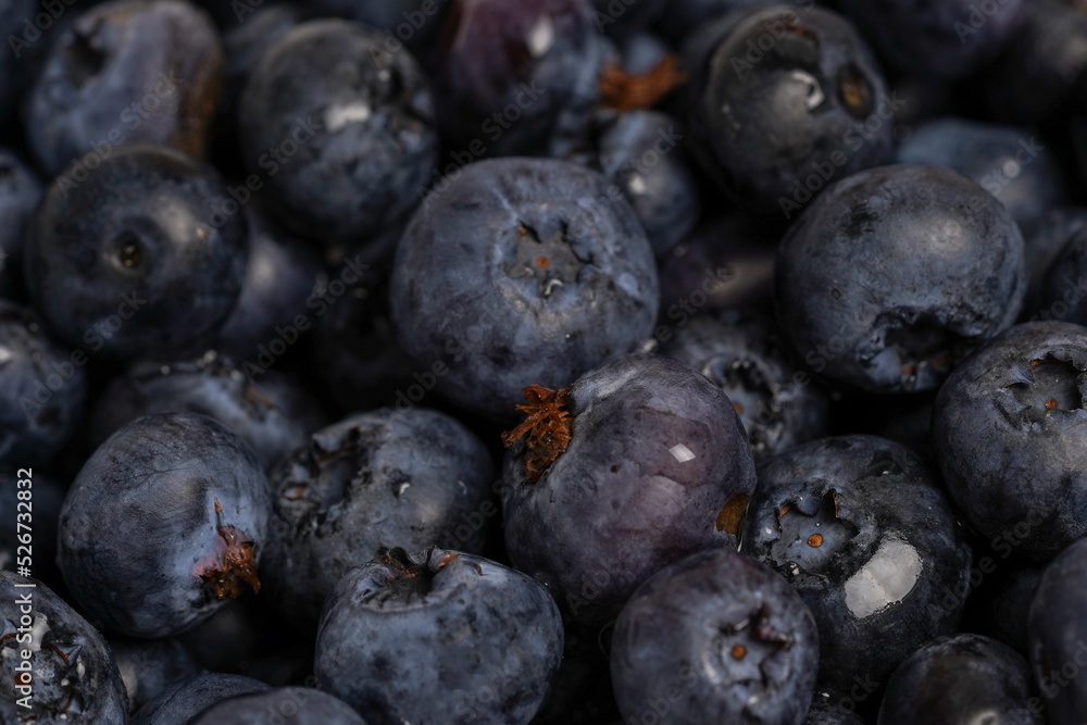 Fresh blueberry background. Texture blueberry berries close up Fresh blueberry background. Texture blueberry berries close up
