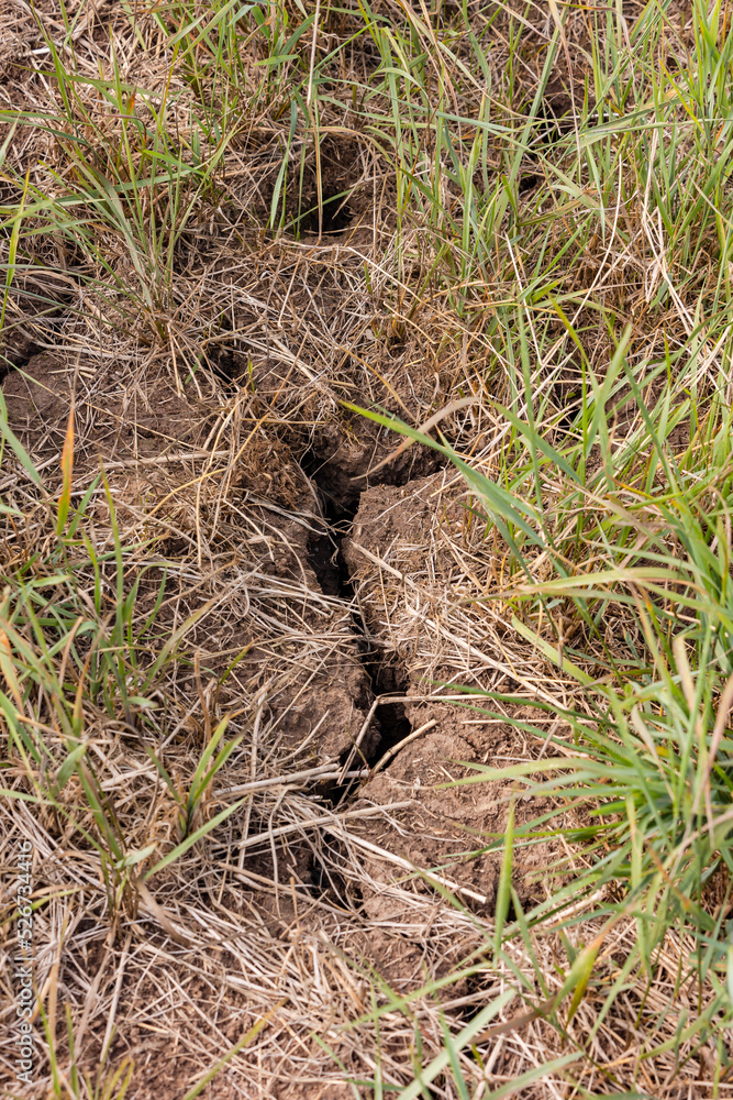 Dry soil with cracks caused by drought Dry soil with cracks caused by drought