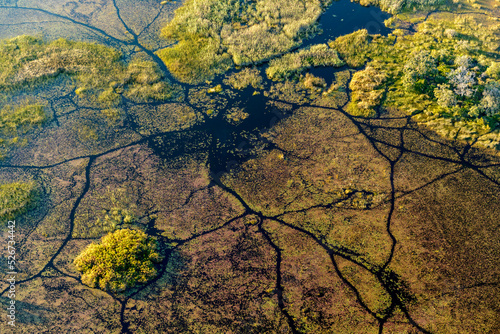 Aerial view of Okavango Delta. Botswana photo