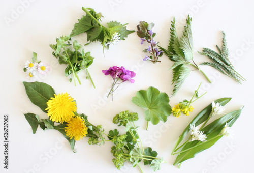 Fotografie Edible plants collection isolated on white background.