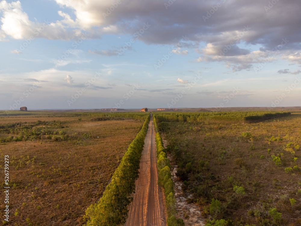 beautiful road with sandy soil surrounded by trees in the brazilian savannah beautiful road with sandy soil surrounded by trees in the brazilian savannah