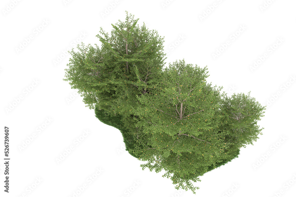 Fototapeta premium Forest on transparent background. 3d rendering - illustration