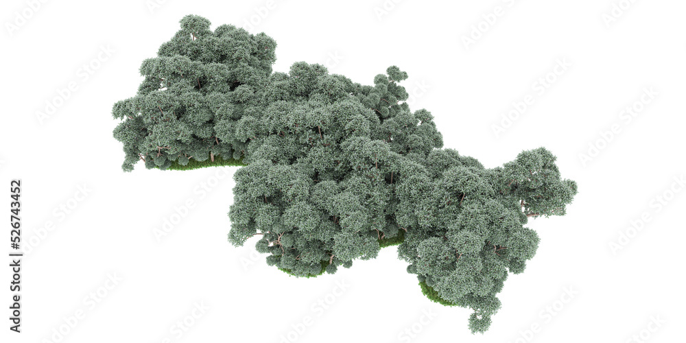 Forest on transparent background. 3d rendering - illustration Forest on transparent background. 3d rendering - illustration
