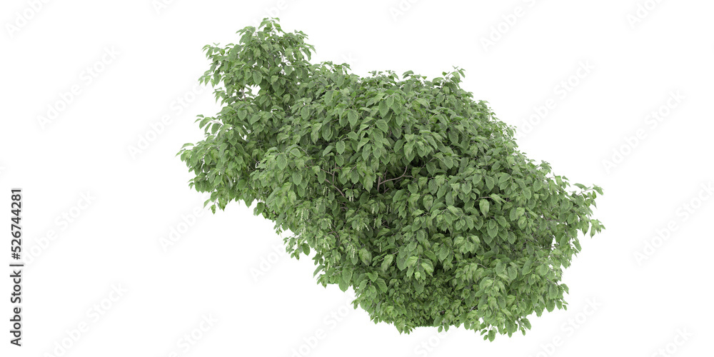 Obraz premium Forest on transparent background. 3d rendering - illustration