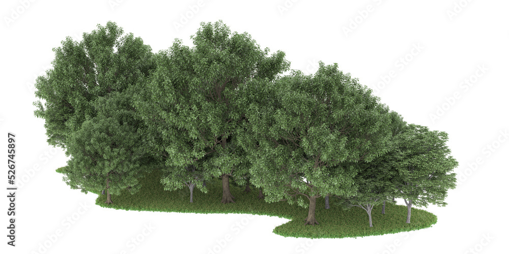 Forest on transparent background. 3d rendering - illustration Forest on transparent background. 3d rendering - illustration