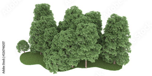 Forest on transparent background. 3d rendering - illustration