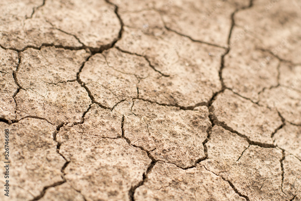 Cracked clay ground into the dry season