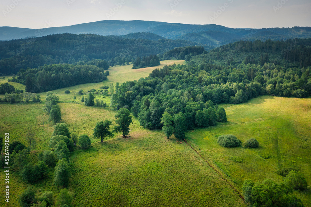 A beautiful landscape of forests and fields near the Giant Mountains, Lower Silesia. Poland