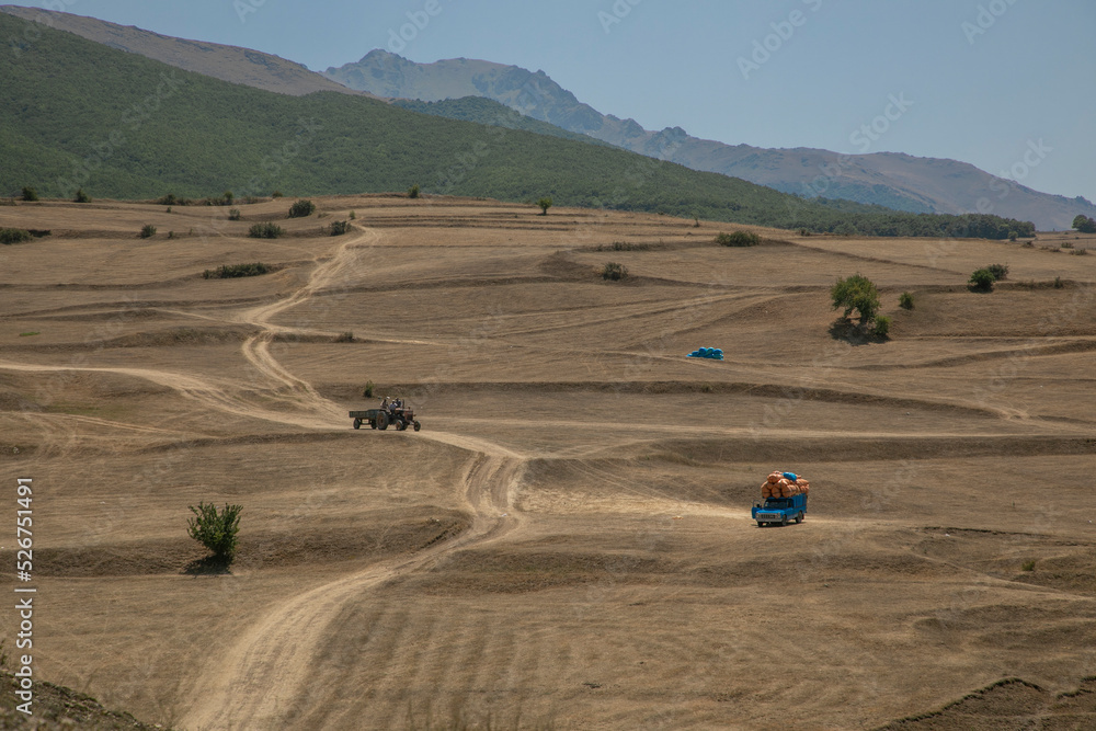Obraz premium hay bales in a field
