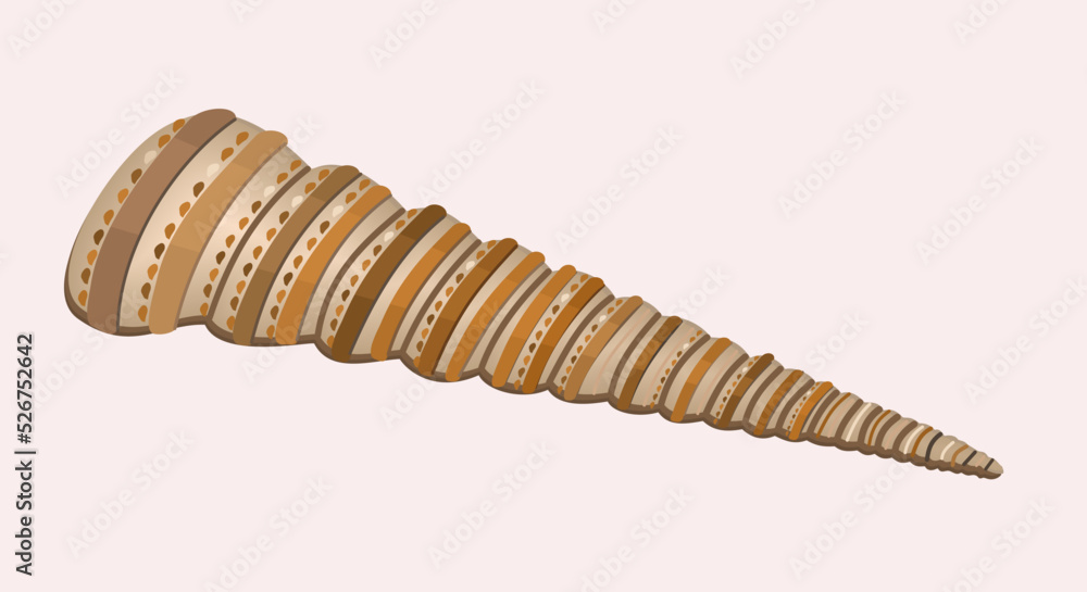 Vector illustration of long seashell of usual shape with decorative spots. Isolated on light background. Vector illustration of long seashell of usual shape with decorative spots. Isolated on light background.