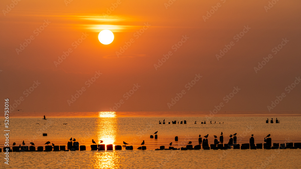 Obraz na płótnie zachód słońca, wschód słońca, sunset, sunrise, zatoka, morze bałtyckie, ptaki, polska w salonie