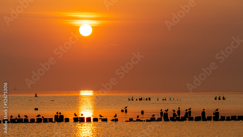 zachód słońca, wschód słońca, sunset, sunrise, zatoka, morze bałtyckie, ptaki, polska
