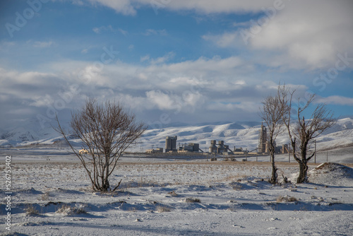 winter landscape with snow