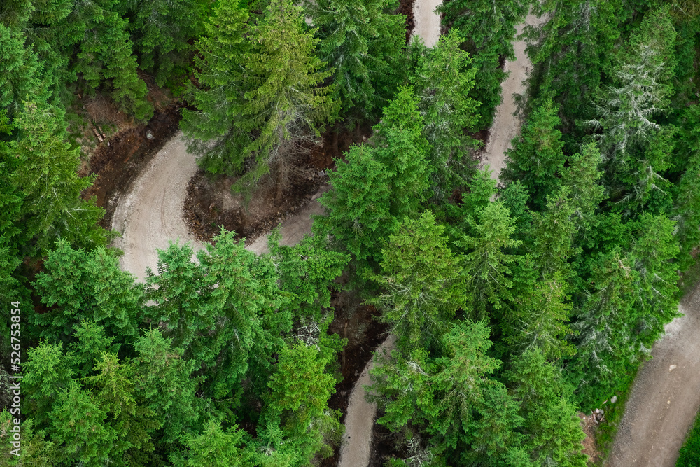 Fototapeta premium DOLNI MORAVA, CZECH REPUBLIC - MAY 14 2022: Bicyclists ride on hill slope trail park surrounded by green forests. People enjoy riding on bikes uniting with nature aerial view on May 14 in Dolni Morava