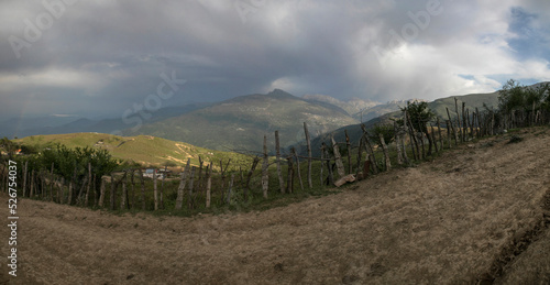 vineyard in autumn cloudy