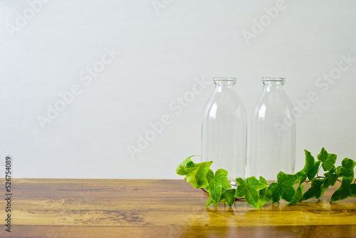 bottles & ivy / ビンとアイビー