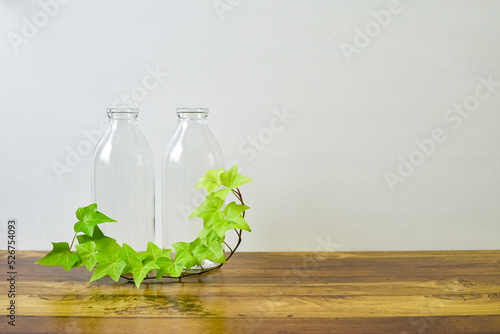 bottles & ivy / ビンとアイビー