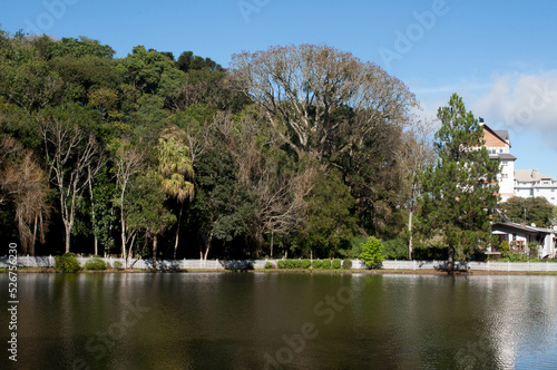 Photograph of park lake on a beautiful sunny day
