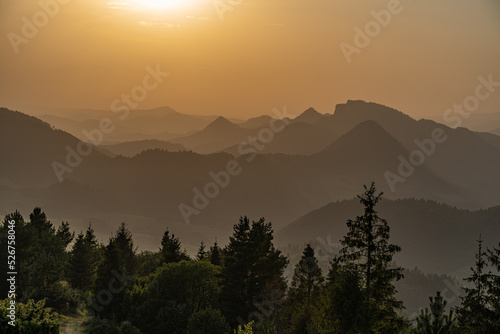 Fototapeta Naklejka Na Ścianę i Meble -  karpaty, polska, góry, lato, przyroda , tatry, pieniny