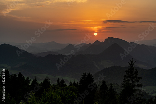 Fototapeta Naklejka Na Ścianę i Meble -  karpaty, polska, góry, lato, przyroda , tatry, pieniny