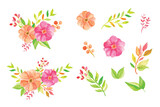 Watercolor floral bouquet illustration set