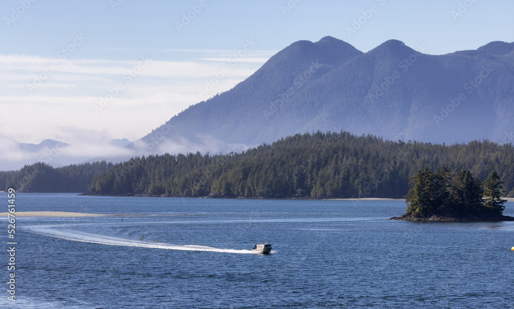 Tofino, Vancouver Island, British Columbia, Canada. View of Canadian Mountain Landscape on the West Coast of Pacific Ocean. Nature Background.