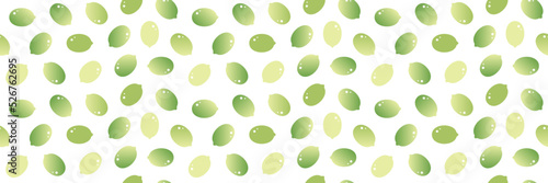 Wide horizontal vector seamless pattern background with pumpkin seeds. 