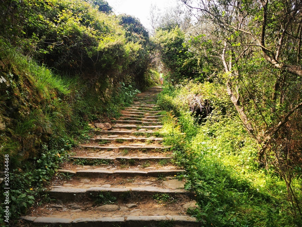 Obraz premium Cinque Terre National Park. Trekking the hiking trail above the Cinque Terre, Italian Riviera. Liguria, Near Cornigla. Italy