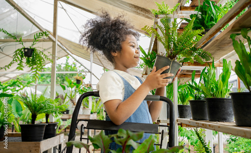 Little African American kid girl select fern plant on shelves and study information on plant species in ornamental shop. Hobbies related to gardening