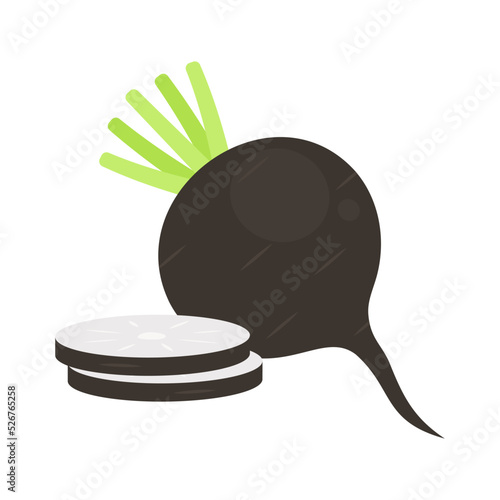 Whole black Spanish radish root and slices isolated on white background. Black turnip or Erfurter radish icon. Vegetarian food. Vector vegetables illustration in flat style.