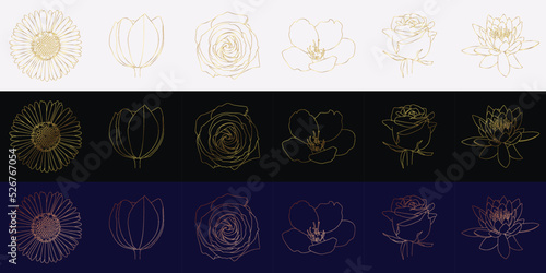 Bronze and gold vector linear flower set