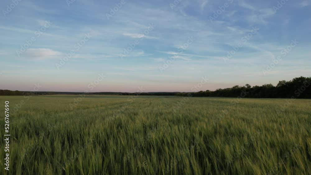 Video from Ural fields in summer, Russia, Ural Video from Ural fields in summer, Russia, Ural