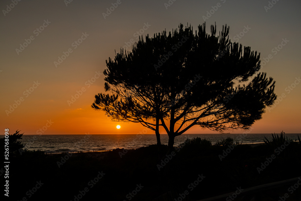 Sunset at La Barrosa beach in Sancti Petri, Cadiz, Spain