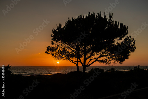 Sunset at La Barrosa beach in Sancti Petri  Cadiz  Spain