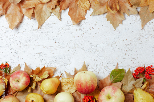 autumn background with apples, pears, pyracantha and leaves