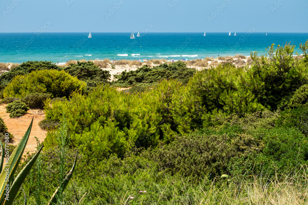 pleasure boats passing in front of La Barrosa beach in Sancti Petri Cadiz pleasure boats passing in front of La Barrosa beach in Sancti Petri Cadiz
