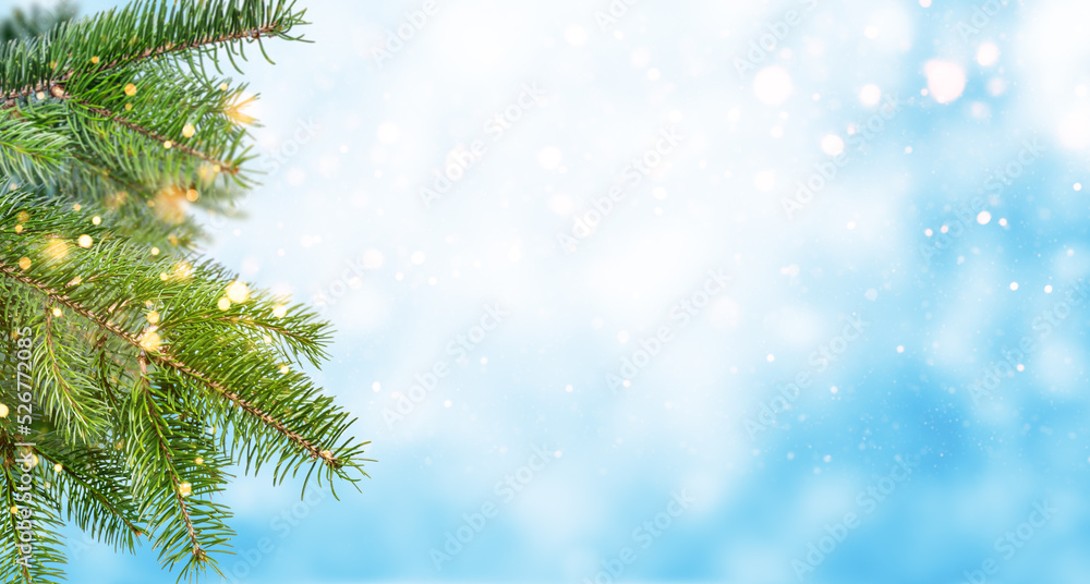 Winter or christmas tree background. Branch of fir tree with bokeh defocused lights. Copy space