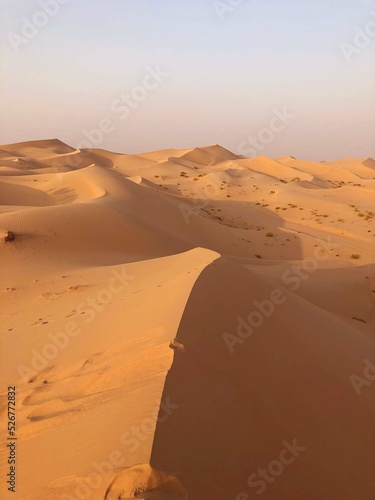 sand dunes in the desert