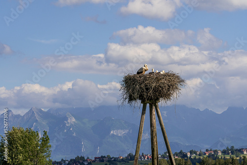 Fototapeta Naklejka Na Ścianę i Meble -  tatry, karpaty, polska, słowacja, góry , wschód słońca, zachód słońca, sunset, sunrise, pieniny