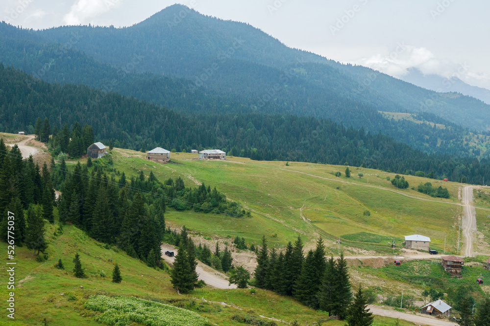 Obraz premium Georgian mountain landscape with a country road, a view of the woodlands
