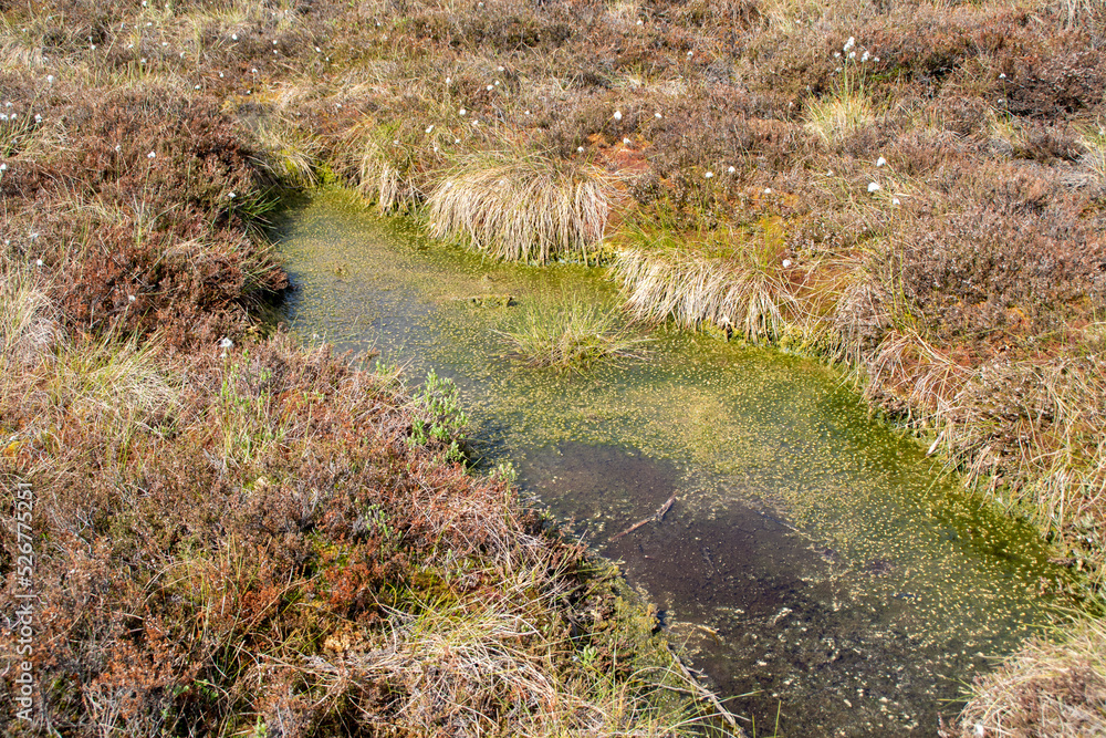 Das schwarze Moor in der Rhön Das schwarze Moor in der Rhön