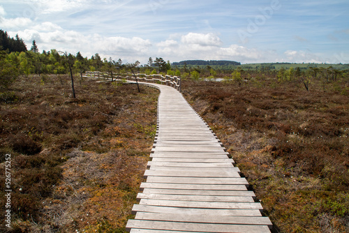 Wallpaper Mural Ein Weg durch das Moor Torontodigital.ca