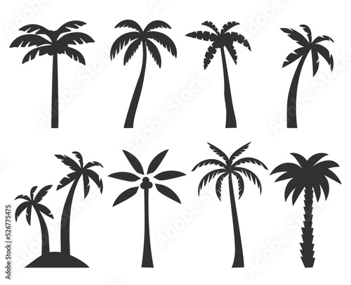 Black palm trees set