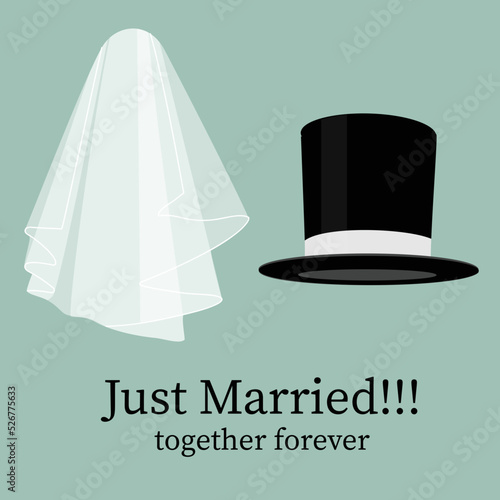 Fotografia White bride veil and groom black cylinder