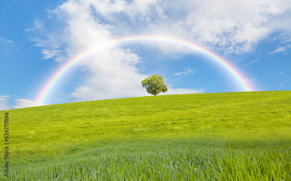 Naklejka premium Beautiful landscape with green grass field and lone tree in the background amazing rainbow